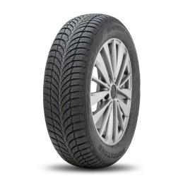 Roadstone Winguard SnowG WH2 215/60R16 99H  XL